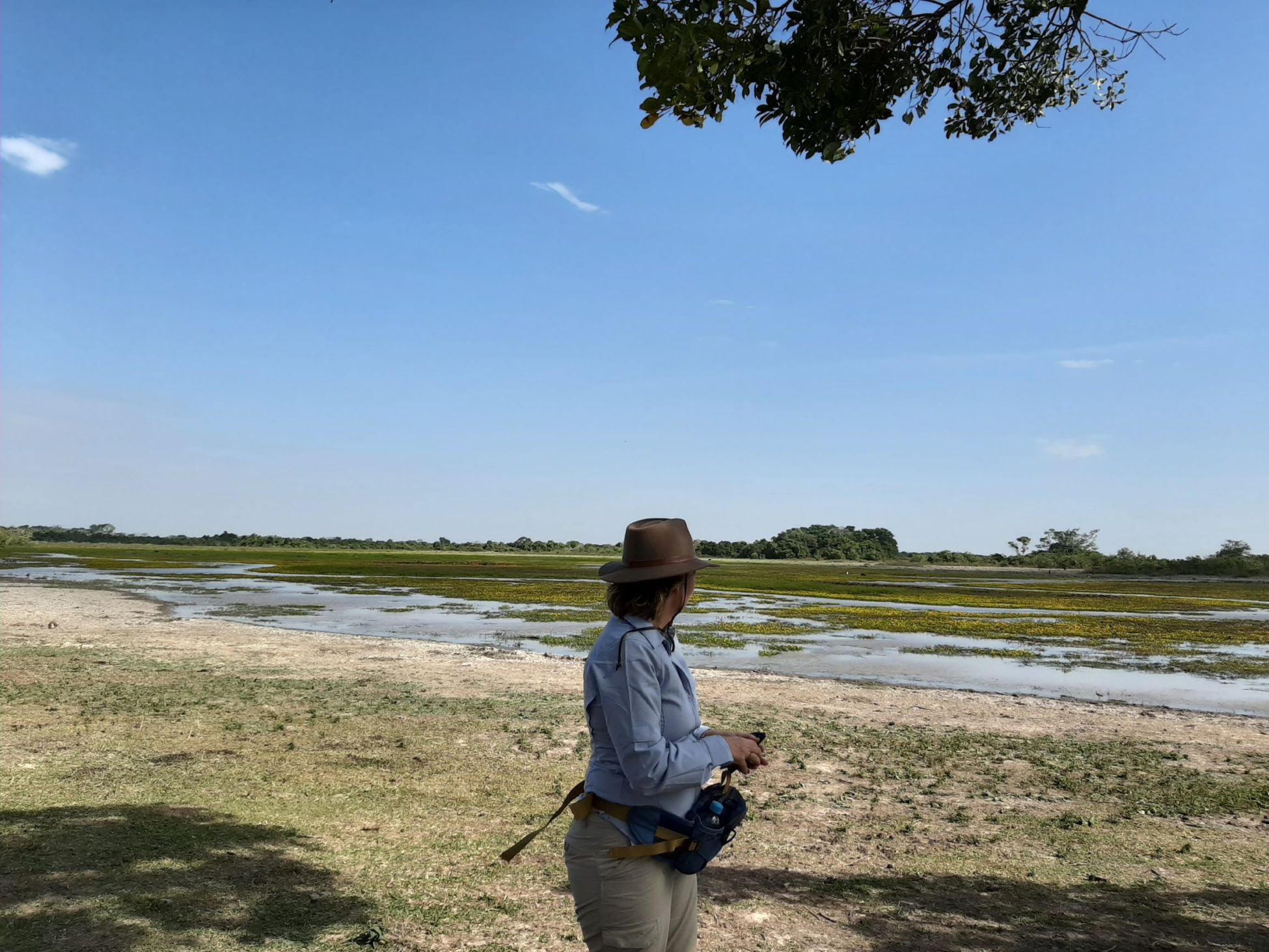 My trip to the Llanos