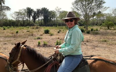 horseback riding – Llanera for a day