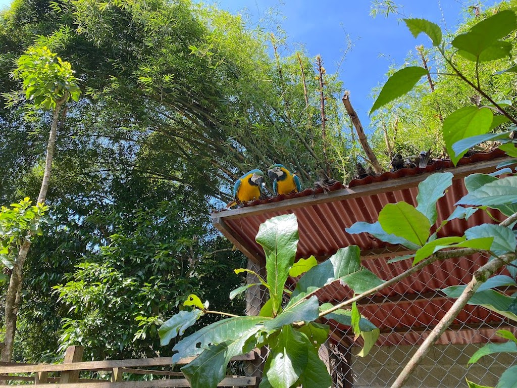 Tierra Adentro Nature Reserve in Minca