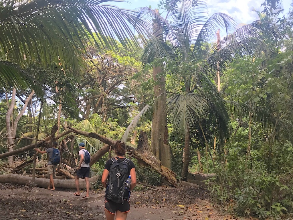 Hikes Tayrona National Park