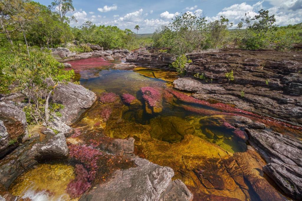 Los Llanos Orientales Colombia
