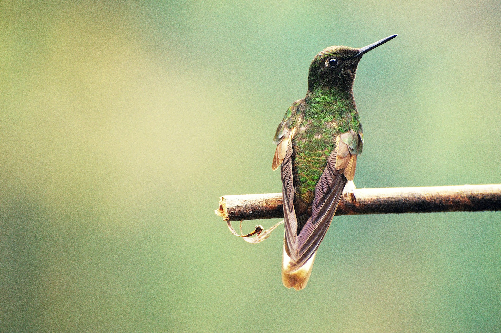 Was Sie in und außerhalb von Salento unternehmen können