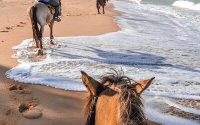Palomino Kolumbien Reiseführer